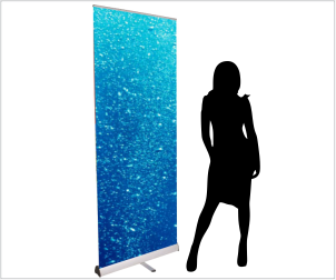 rollup standard plus